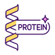 Protein