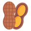 Peanuts